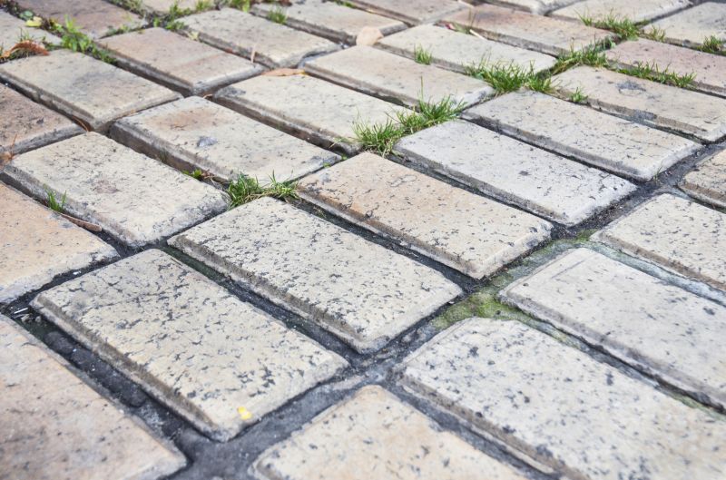 Brick Flatwork Repair in Tampa, FL