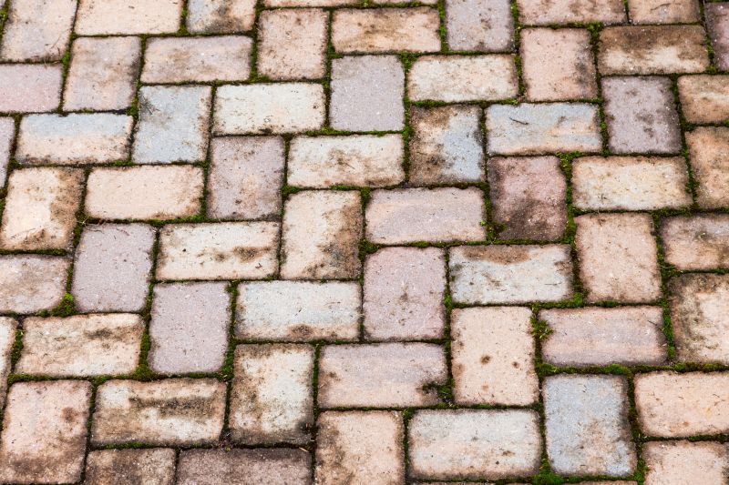 Brick Flatwork Repair in Tampa, FL