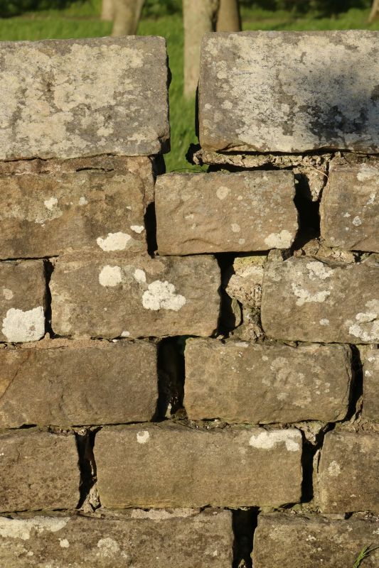 Stone Wall Repair in Land O Lakes, FL